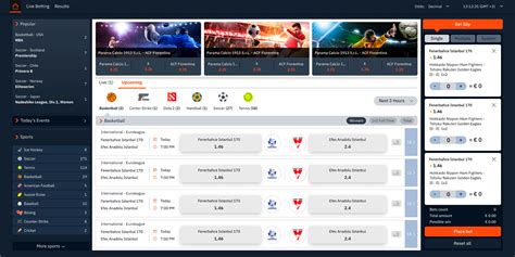 sports betting solution provider|Betradar .